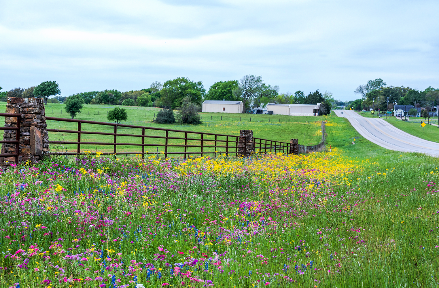 Countryside road with colorful wildflowers blooming.