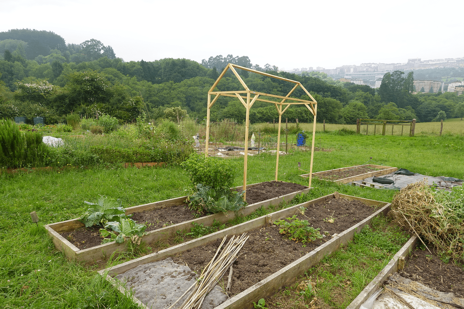 Wooden garden frame with vegetable beds.