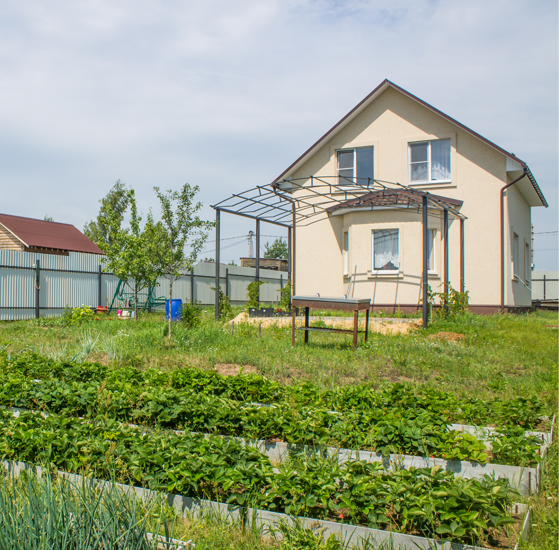 House with garden and pergola in backyard.