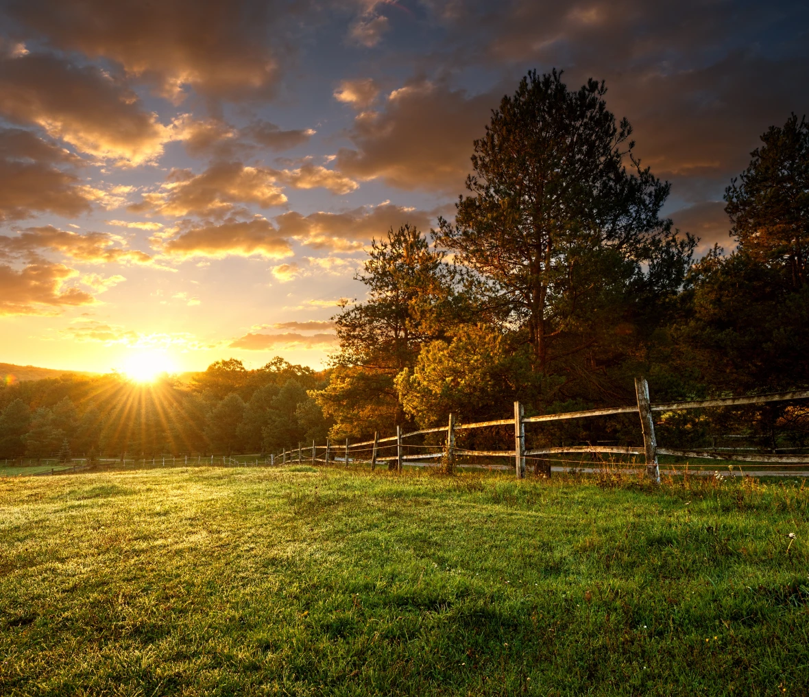 Sunset over a grassy field and fence.