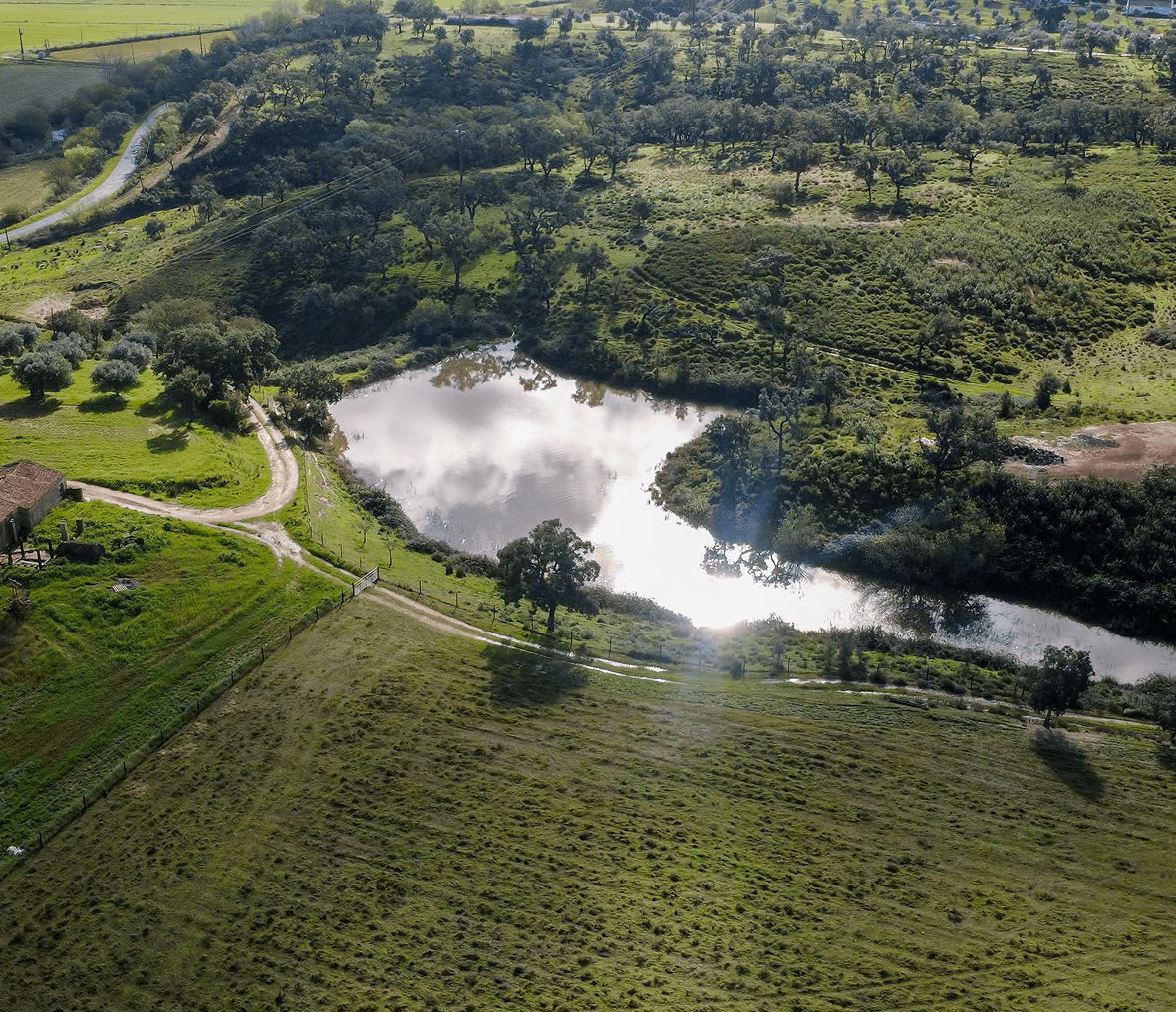 Aerial view of pond and green landscape.
