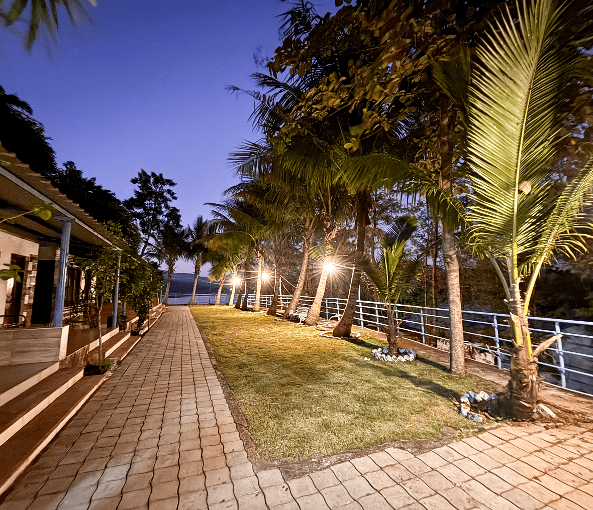 Pathway lined with palm trees at dusk.